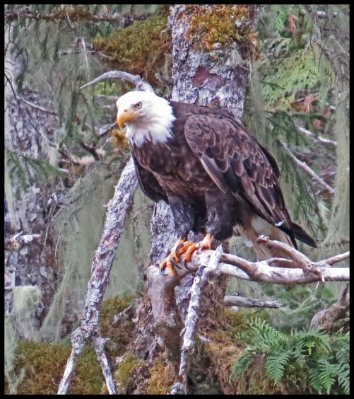 KakushdishSept2015-110-IMG_3647_edited-1