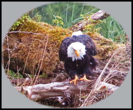 KakushdishSept2015-26