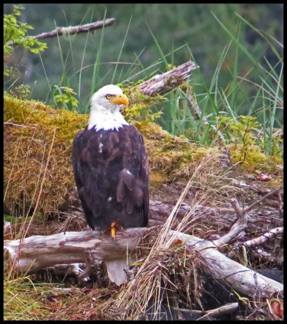 KakushdishSept2015-26a-IMG_3518_edited-2