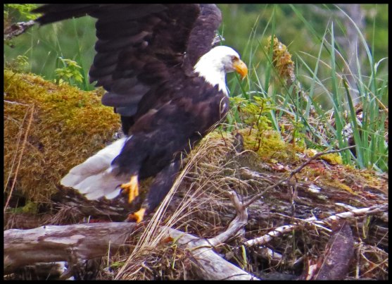 KakushdishSept2015-27-IMG_3520_edited-1