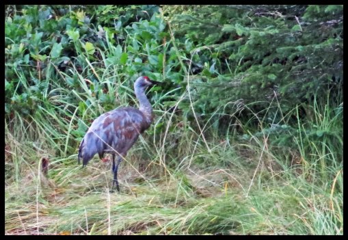 KakushdishSept2015-37