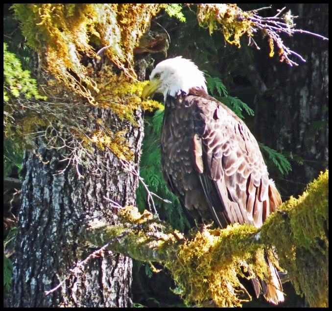 MacDonald2015-22-IMG_2445_edited-1