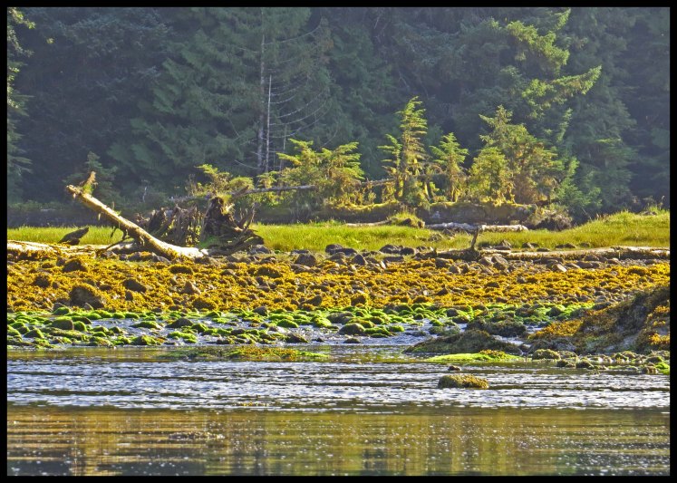 MacDonald2015-4-IMG_2341_edited-1