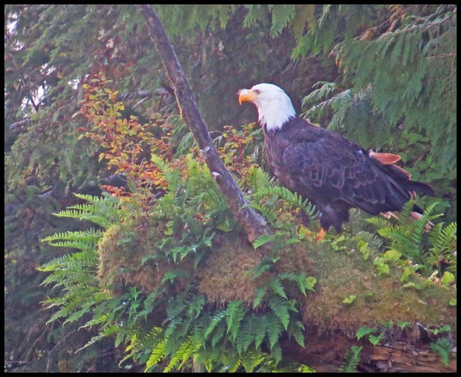 MacDonald2015-41-IMG_2373_edited-1