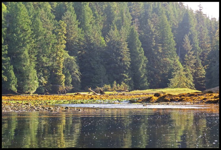 MacDonald2015-5-IMG_2343_edited-1