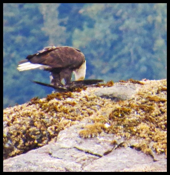 MeyerstoBottleneck2015-8-IMG_3194_edited-1