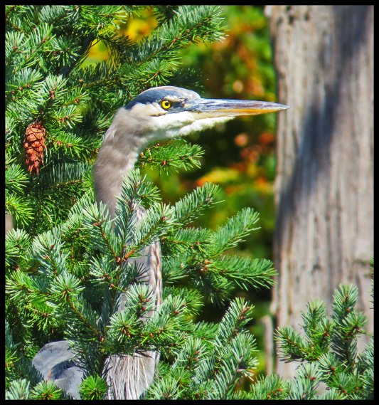 MontagueSept2016-27-IMG_4653_edited-1