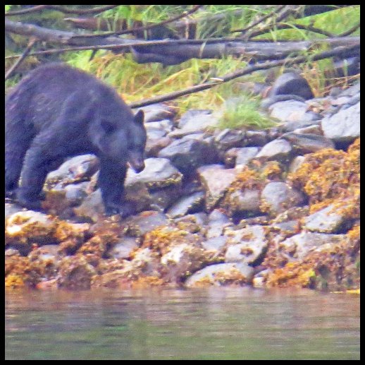 Newcombe2015-103-IMG_2055_edited-1