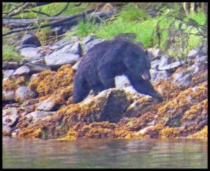 Newcombe2015-104-IMG_2056_edited-1