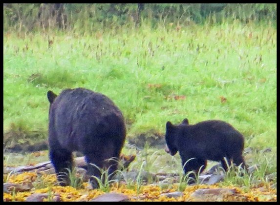 Newcombe2015-106-IMG_2061_edited-1