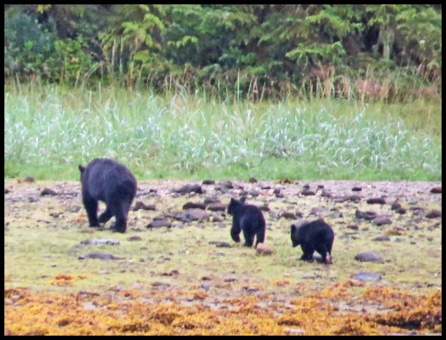 Newcombe2015-108-IMG_2069_edited-1