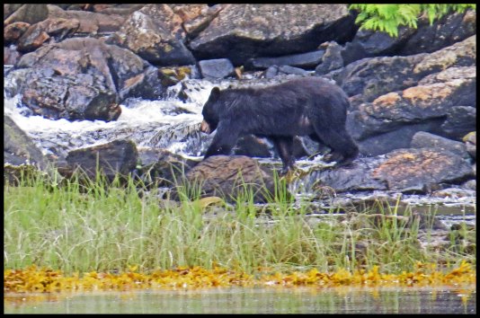 Newcombe2015-60-IMG_1866_edited-1