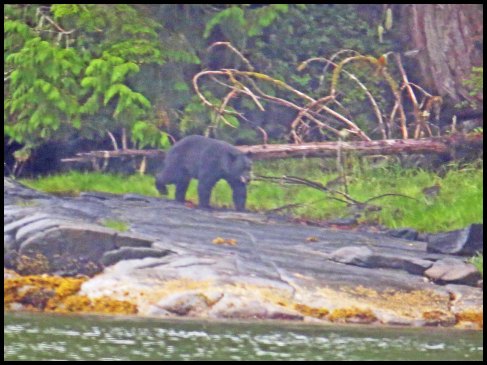 Newcombe2015-90-IMG_2032_edited-1