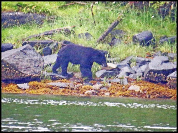 Newcombe2015-91IMG_2033_edited-1