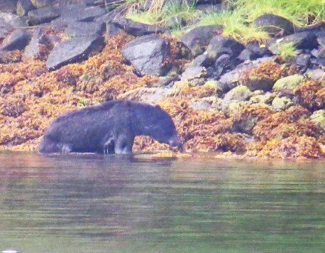 Newcombe2015-97-IMG_2042_edited-1