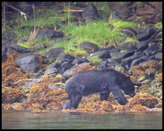 Newcombe2015-98-IMG_2043_edited-1