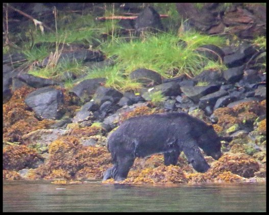 Newcombe2015-98-IMG_2043_edited-1