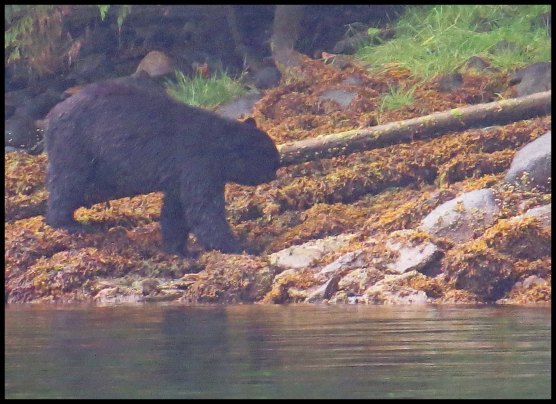 Newcombe2015-99-IMG_2051_edited-1