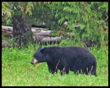 Newcombe2016-57-IMG_1856_edited-1