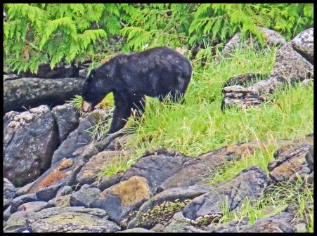 Newcome2015-58-IMG_1864_edited-1