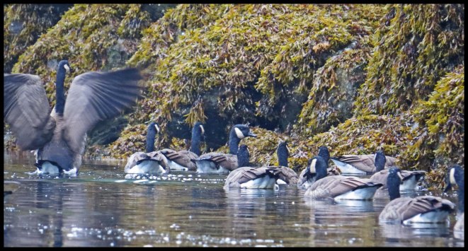 OceanFallsSept2015-21IMG_4411_edited-1