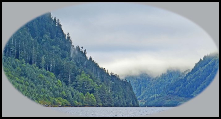 OceanFallsSept2015-39