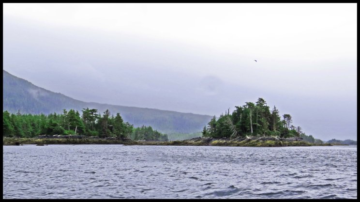 PorcherIsland-3-IMG_1272_edited-1 copy