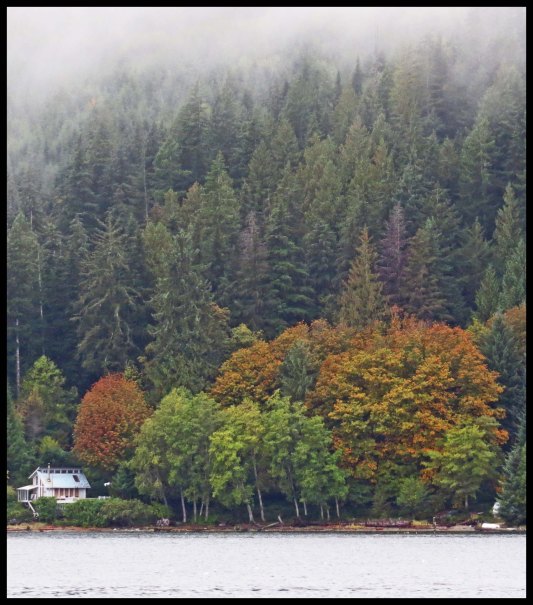 SquirrelCoveSept2015-6-IMG_4591_edited-1