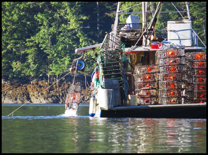 Tuwartz2015-50-IMG_2307_edited-1