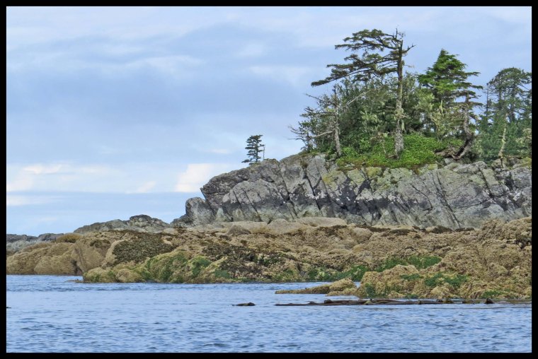 Welcome2015-30-IMG_1359_edited-1