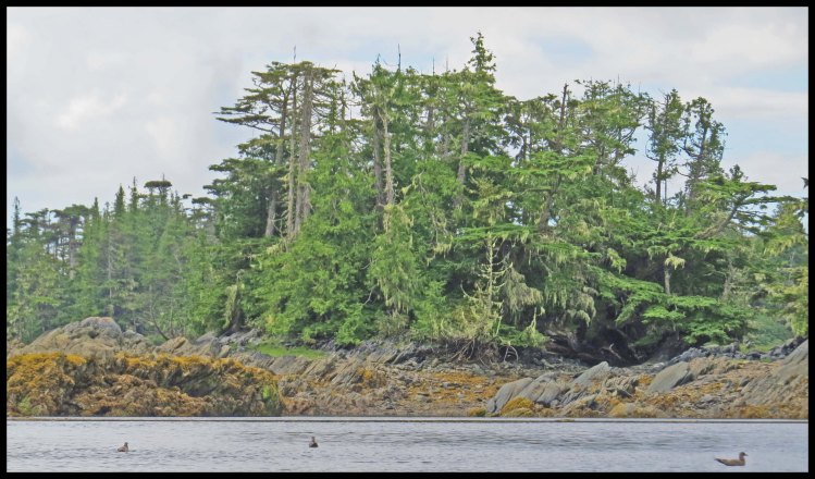 WelcomeHarbour201-36-IMG_1380_edited-1