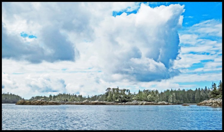 WelcomeHarbour2015-32-IMG_1376_edited-1