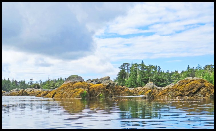 WelcomeHarbour2015-38-IMG_1383_edited-1