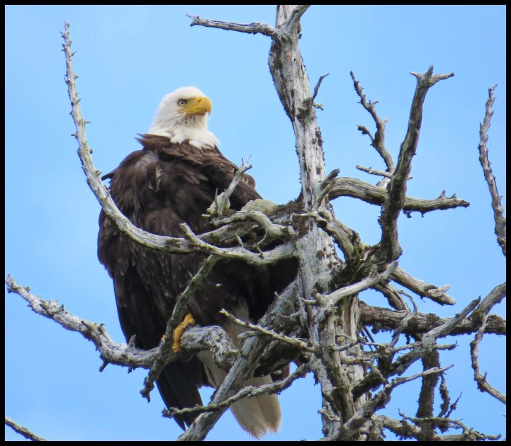 WelcomeHarbour2015-59-IMG_1450_edited-1