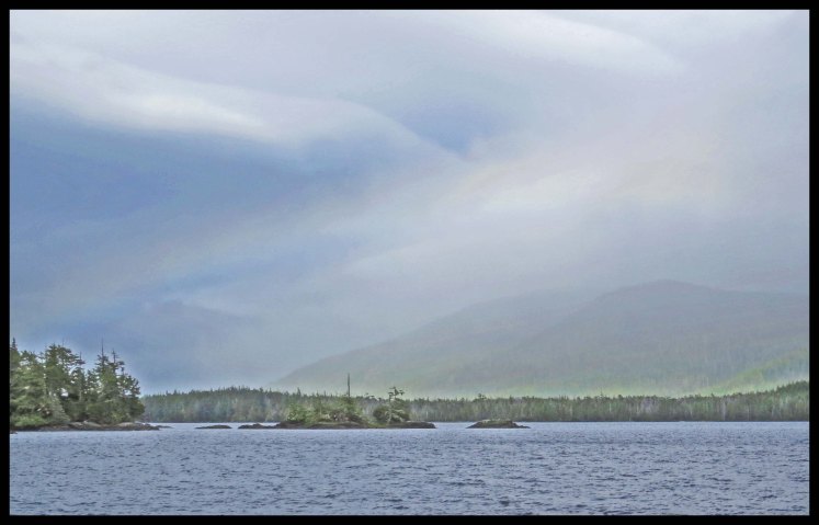 WelcomeHarbour2015-63-IMG_1302_edited-1-1