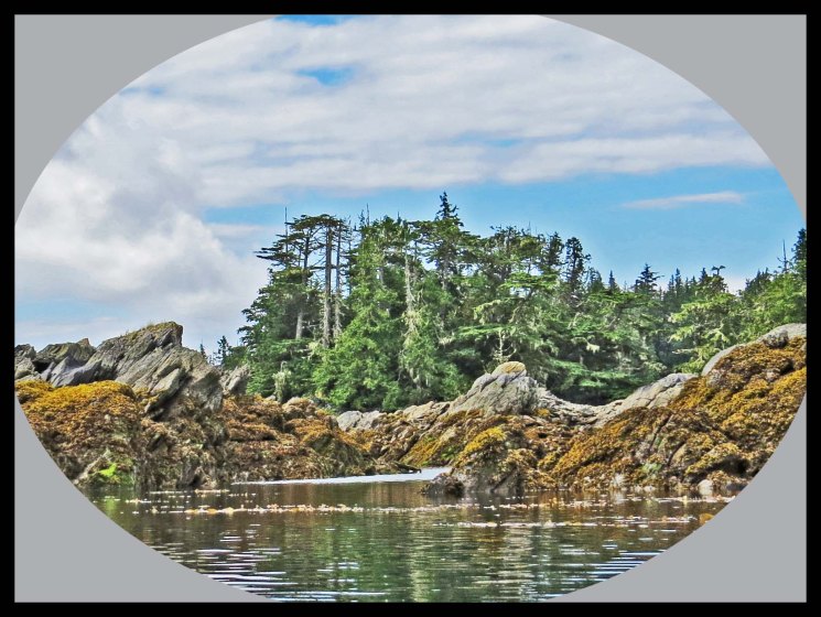 WelcomeHarbour2015-78