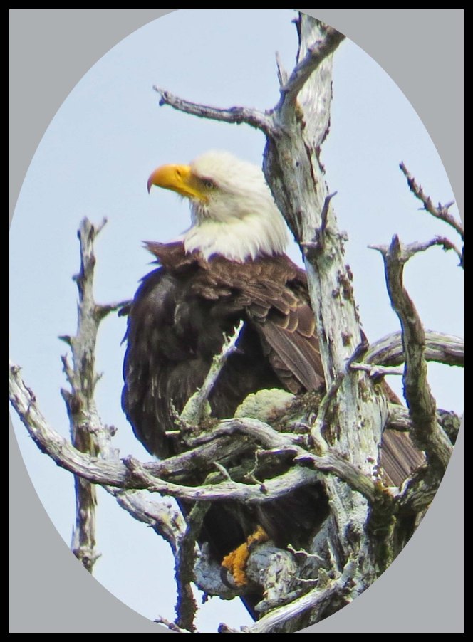 WelcomeHarbour2015-80