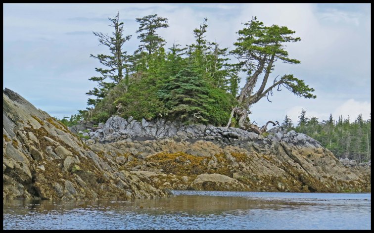 WelcomeHarbour2015l-60-IMG_1469_edited-1